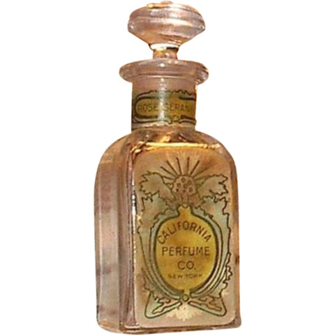 Rose Geranium